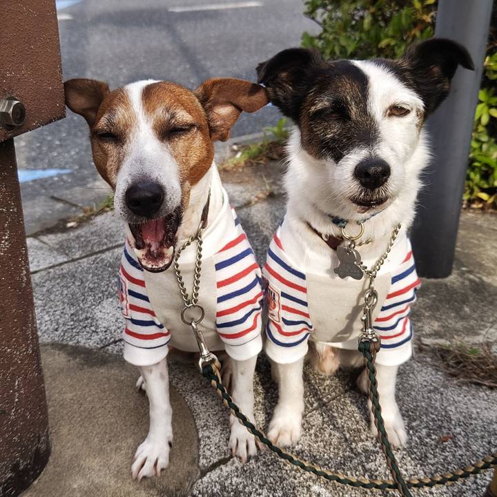 09721da8 4ff2 47dd a5f8 015b06e73867 1747778322694