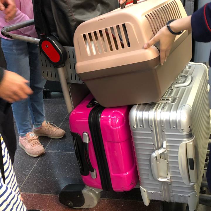 09727f11 514a 42e4 87be 9aeb1431a097 1572497682641