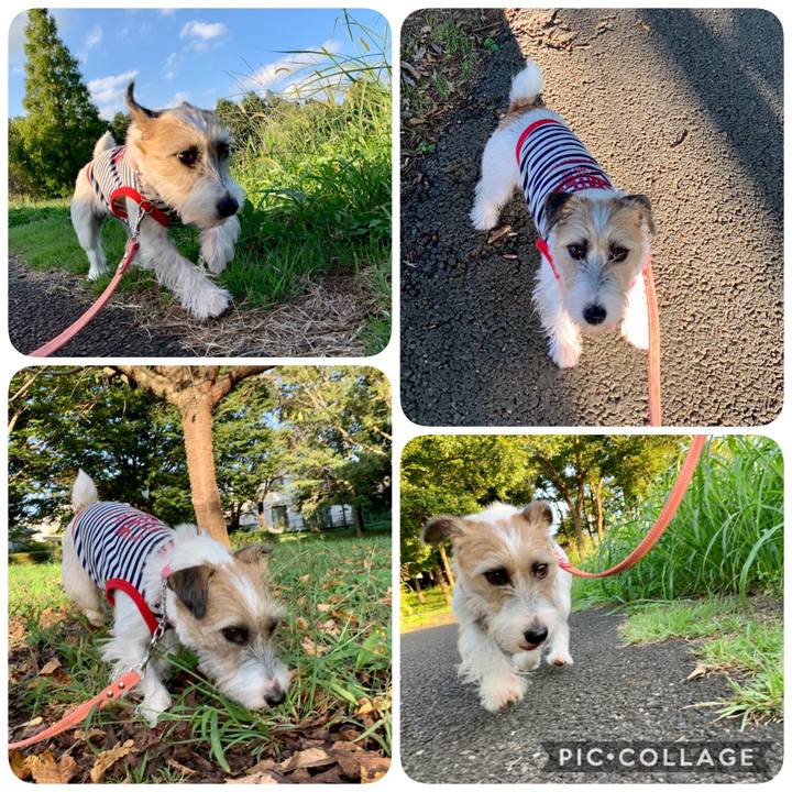 09728832 36a3 441e 9aaa a1772af1de83 1601459107729