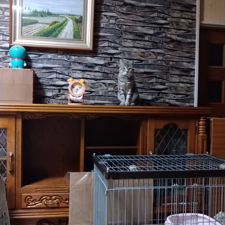 097298c6 a1c4 432f a7da d631cc69e57c 1680946466123