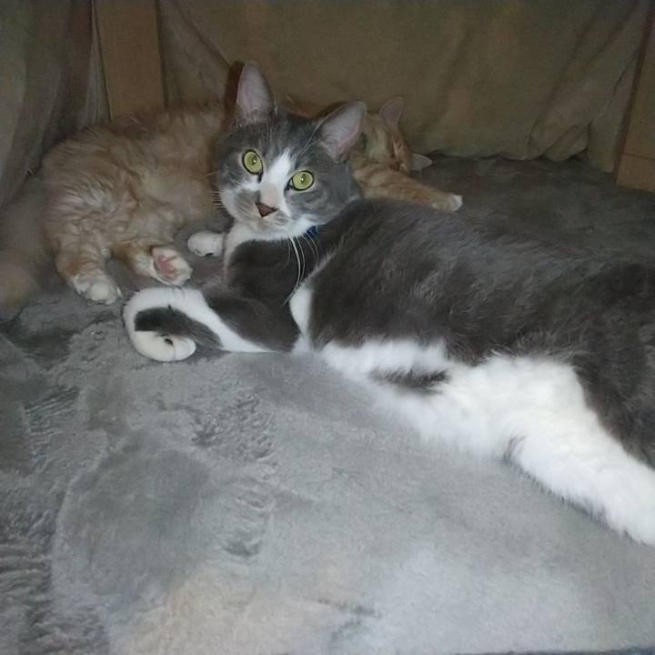 0972dacd aa2e 4a9d 8b99 8d447c0664e4 1643254610646