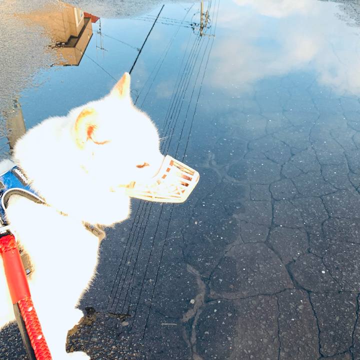 0972e213 fffd 4464 a07c 076b9aacb53d 1651525894654