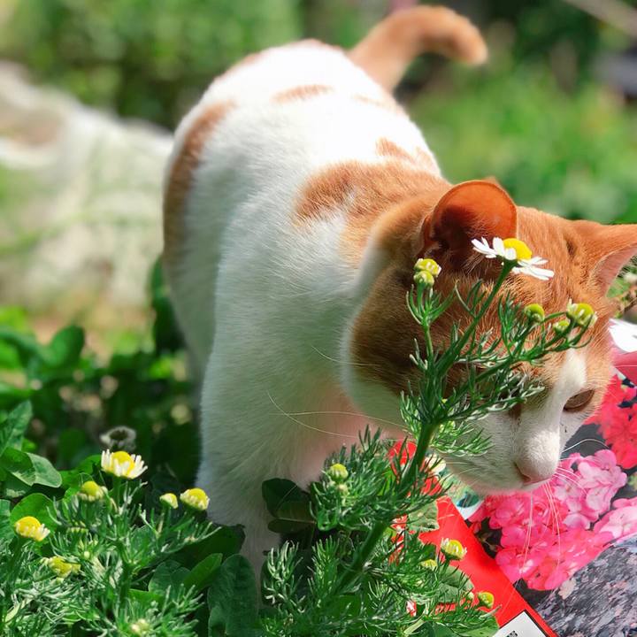 09731756 1fb5 4c25 88dd 33a7f1c636c7 1529043512604