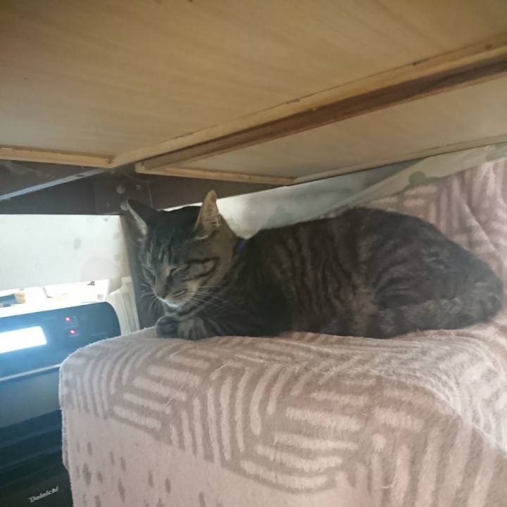 0973242d 70c8 4360 a544 a99a0bc8e3f4 1654502768670