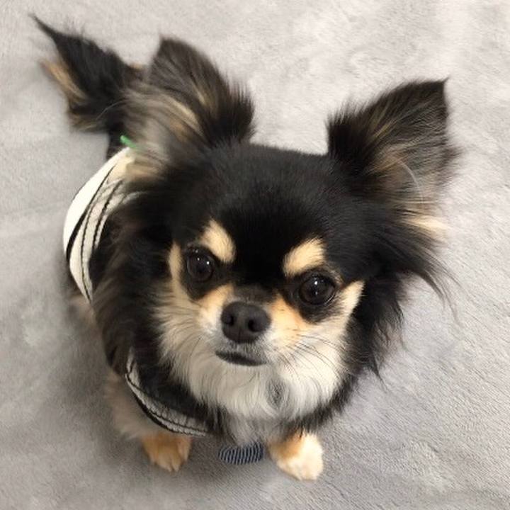 09732fa1 dade 4902 b7d2 031bccfc147f 1587424711464