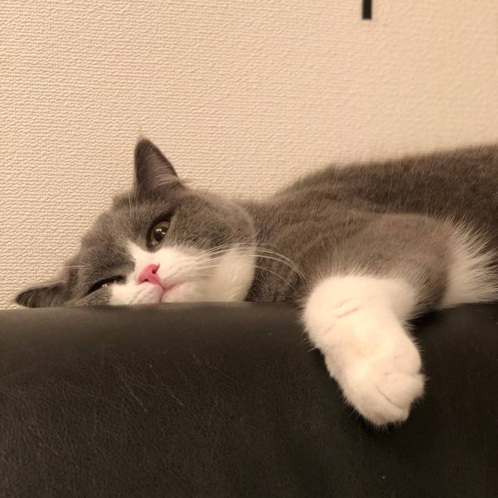 09736990 c6f2 4d6c 9db5 ea441d3796f7 1521697370858