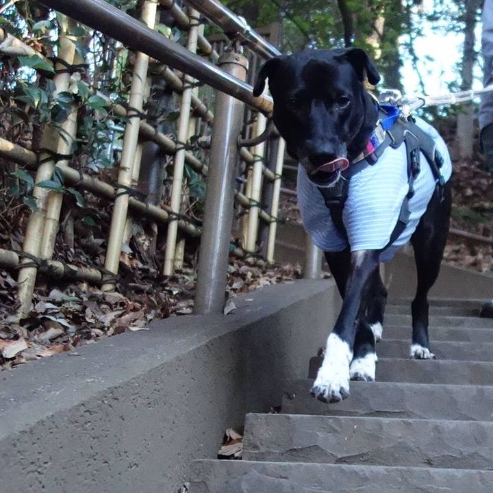 097399fb 4a03 4ad4 8cd5 ee1bb9f43776 1640826697986