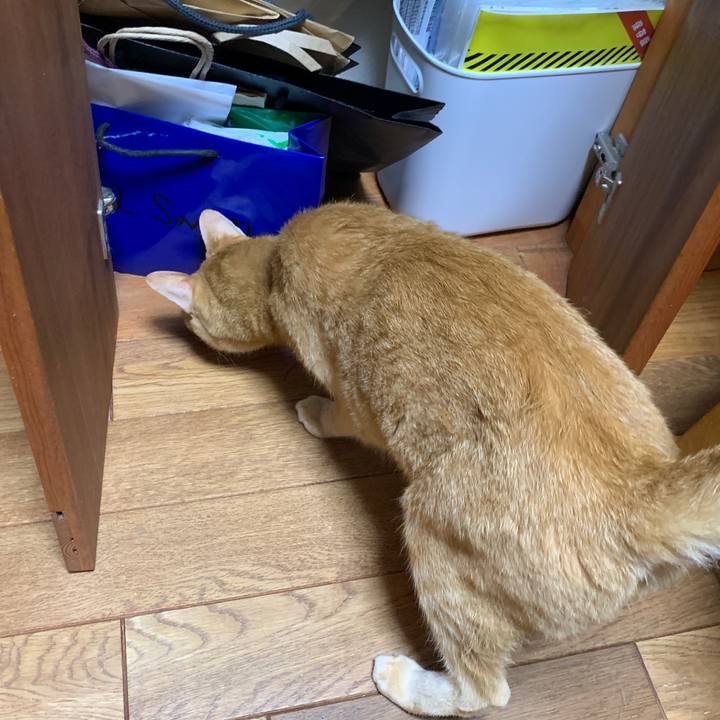 09739b5e 09d6 41b0 8db2 2ce09c4f9e81 1664137053969