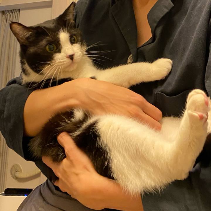 09739e1a e99d 4994 bd0a dd4551c03526 1733055726922