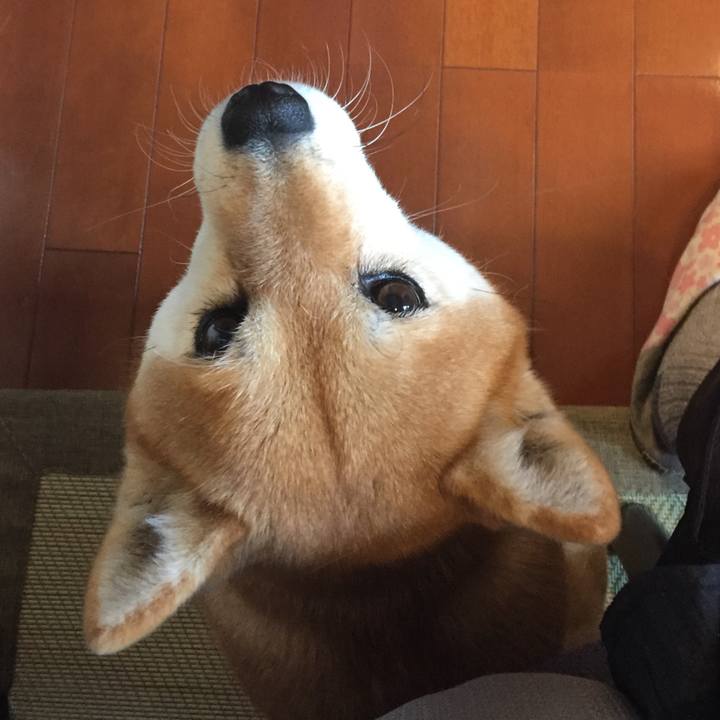 0973af85 9bfd 44b7 94a1 f9c8be507fd5 1512604092684