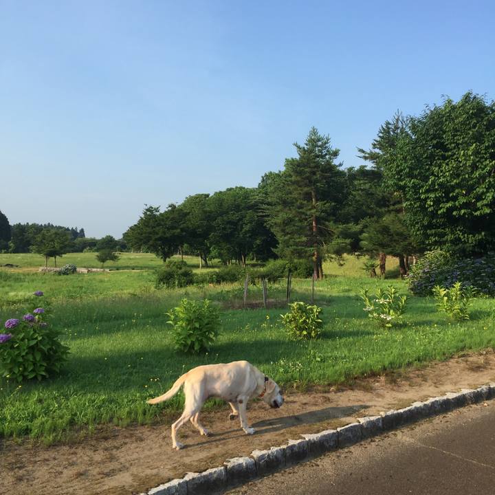 0973d16d a8bc 4a53 bf35 216ddfd28f6b 1651580849559