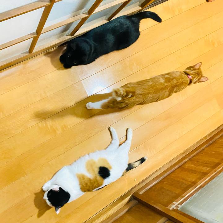 0973e656 1c18 41d4 a7cf b378697af4a7 1691243341078