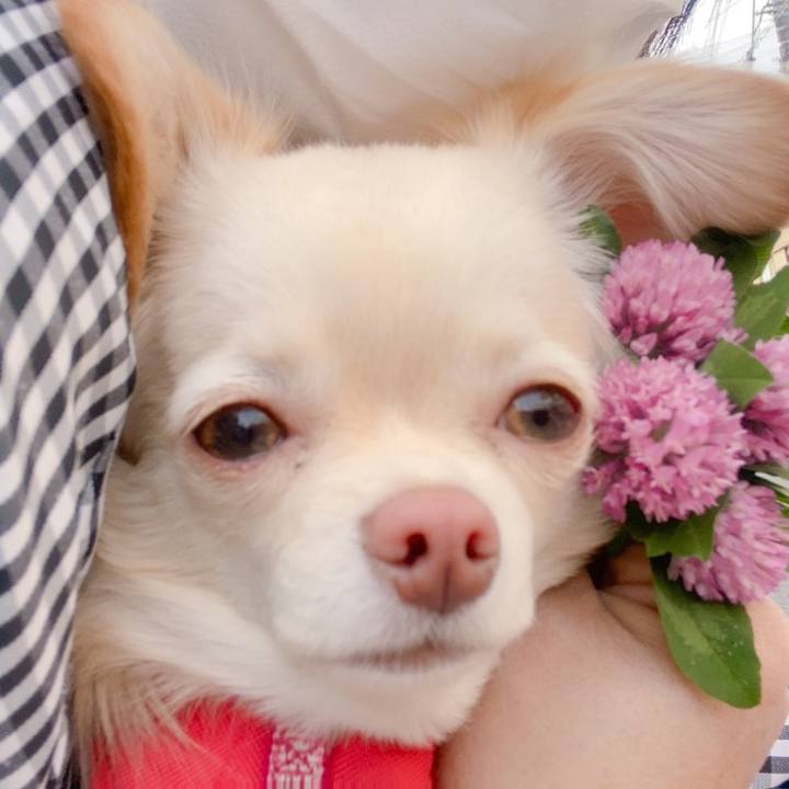 0973ff7a 66eb 4b37 b0b9 1dc0cf59f83f 1619080704169