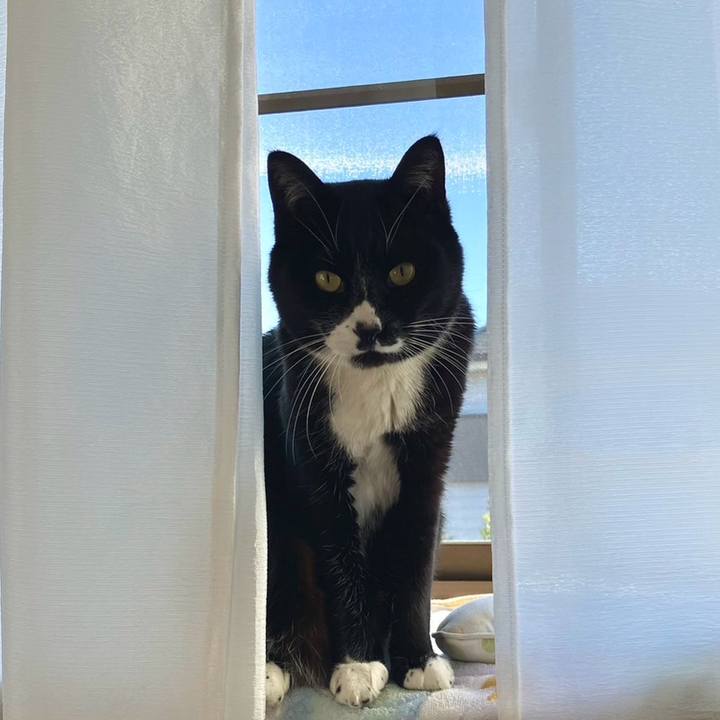 09741d8d 1228 4a30 b0c6 35210d0d9dcf 1706240320708