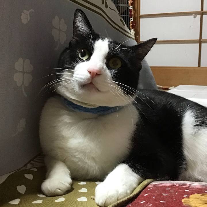 097426fd 3e44 4e02 802f efbc8a782965 1680008305902