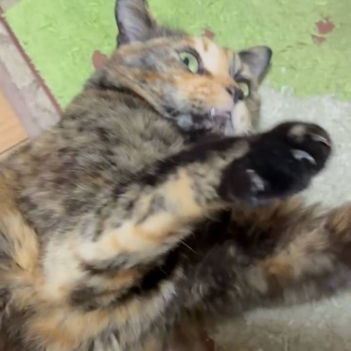 09745eb2 8cb8 4455 abae 7559a7ca308d 1774124471157