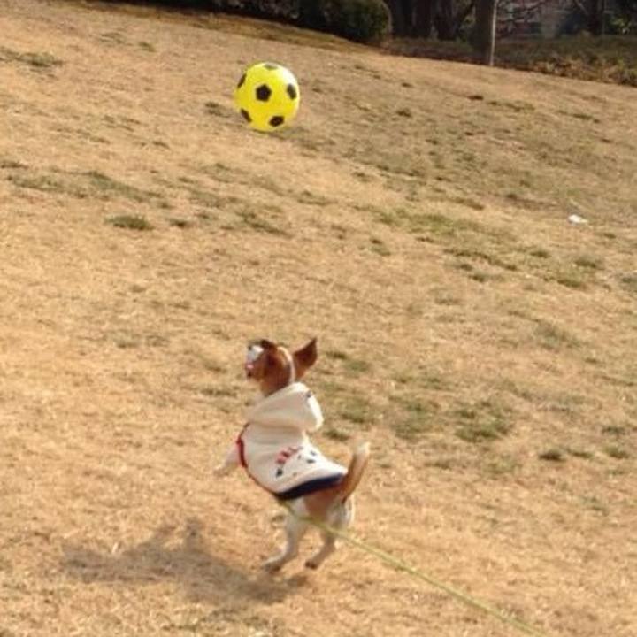 09749034 0675 420b b2e2 d7f292d19f38 1707652971523