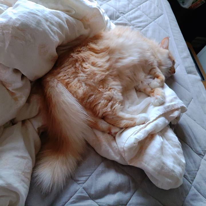 0974b012 8320 466e bcfb 54e58bd90d03 1687988282437