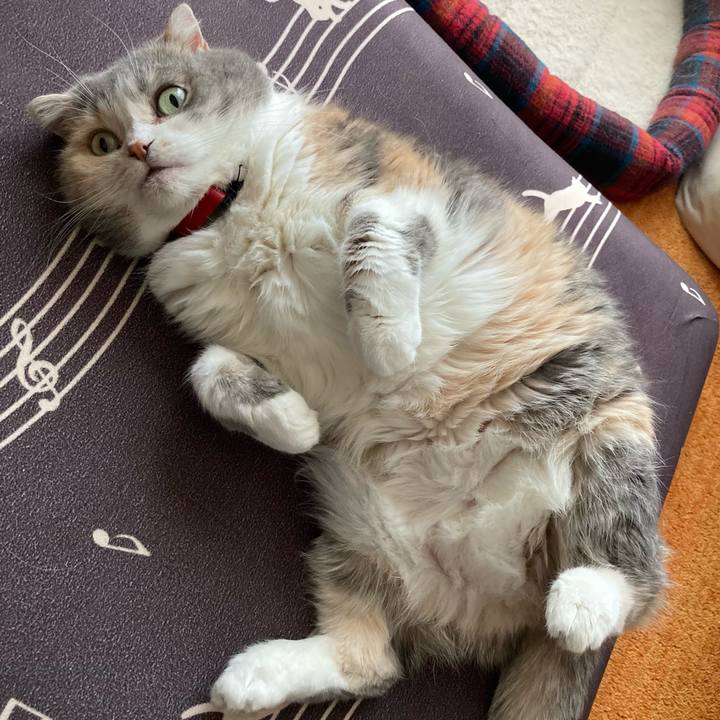 0974b82d 5315 499d 9b6c 4b83480e7966 1649937149352