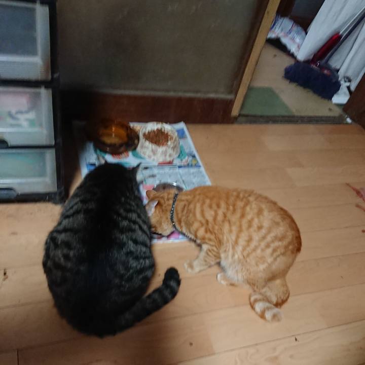 0974b920 f295 45c2 84c5 071a8bc6e24c 1660726804378