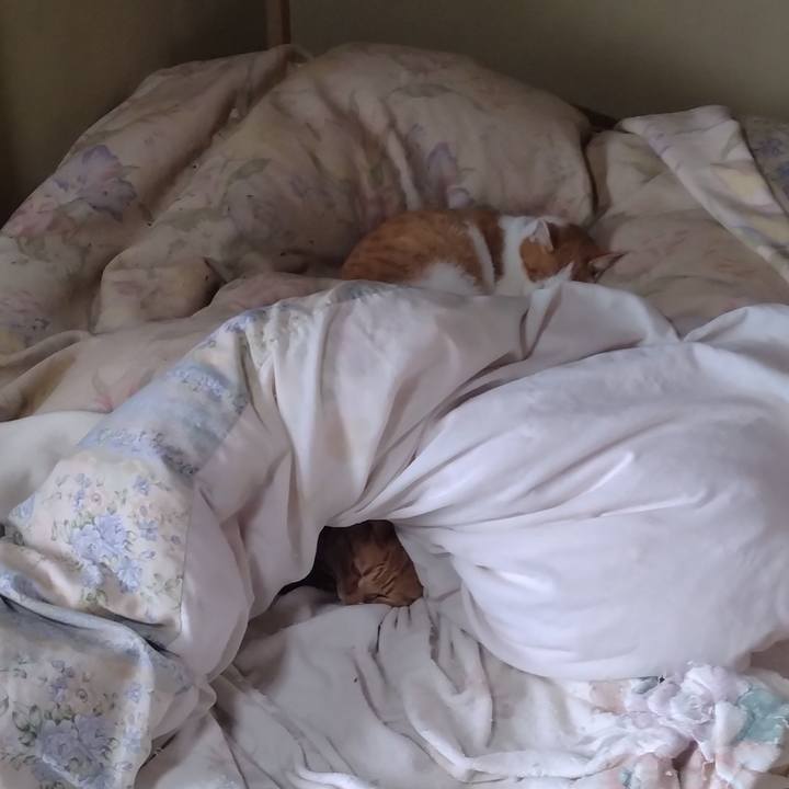 09754b37 f78a 453b b733 0feec328bb44 1762556126169