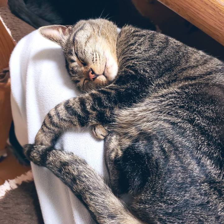 097550bf 3258 43e5 9b7b 230d55f1db81 1554469193480