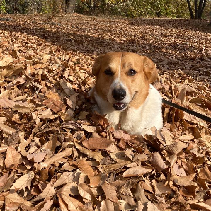 097557e2 b35b 469d 8909 a410cc84e50d 1765762553906