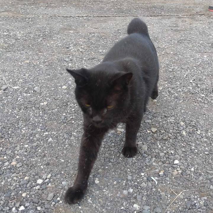 0975c5c7 fef5 44cc 9dca 06b2426a3c7c 1727672726155