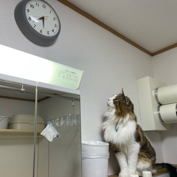 0975e02f 85b6 4918 8697 da26f1b39cef 1725655908698