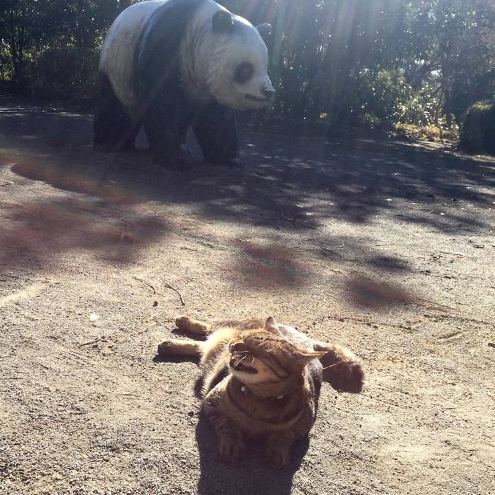 09765756 984f 48a2 96b0 13e68eedcdd3 1515744505339