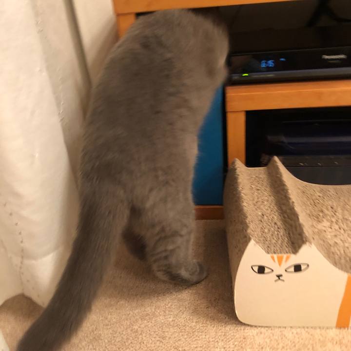 0976ac75 0663 4ada b891 a26432706e90 1542805550215