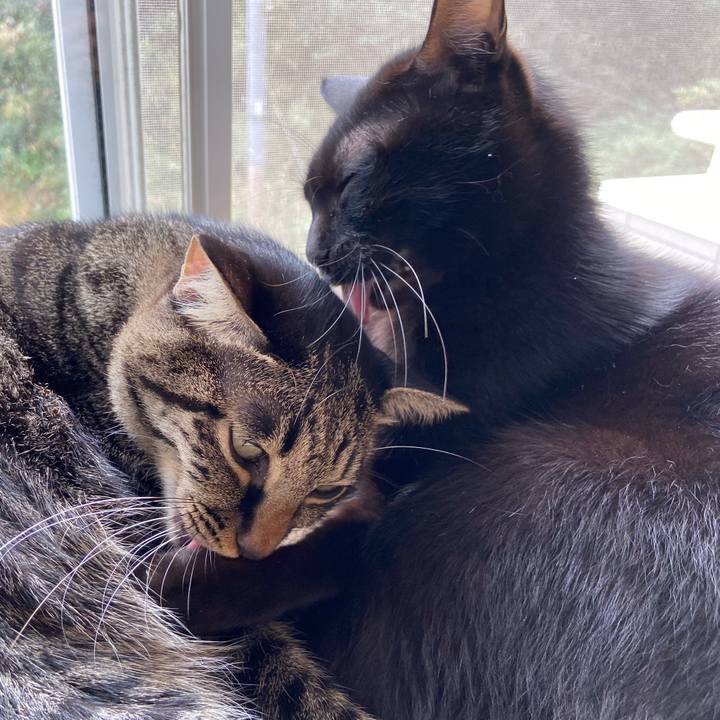 0976b1e1 cbb5 450d a090 a1d814e73719 1669292961282