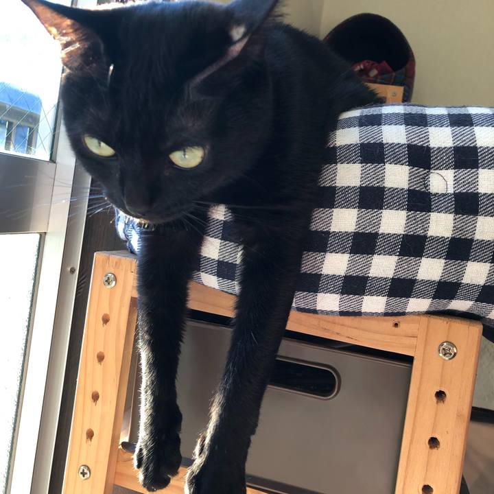 0976d043 6f4d 4553 94a8 ce2e6faaf124 1547628892824