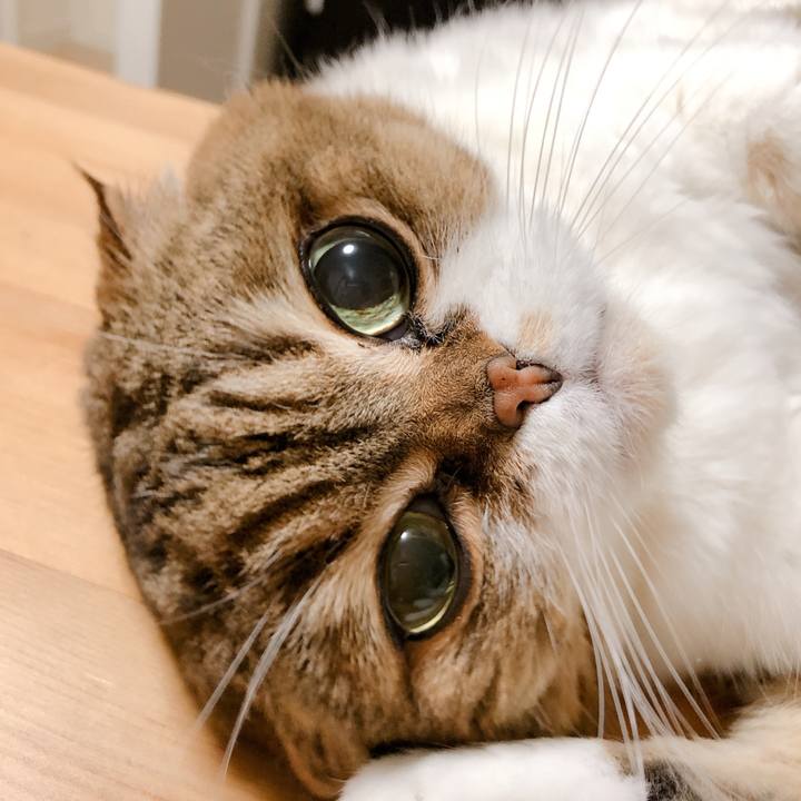 0976e467 2fdb 4d9f 93c2 9f47c92527f3 1574426272838