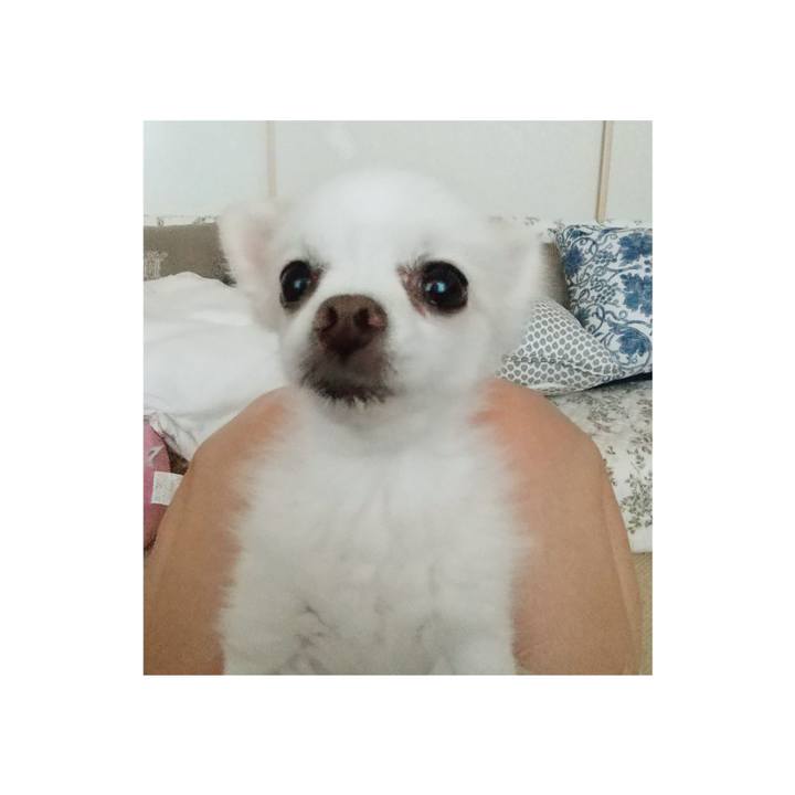 097722b6 937f 4bce bca2 e889f3131113 1626596700218