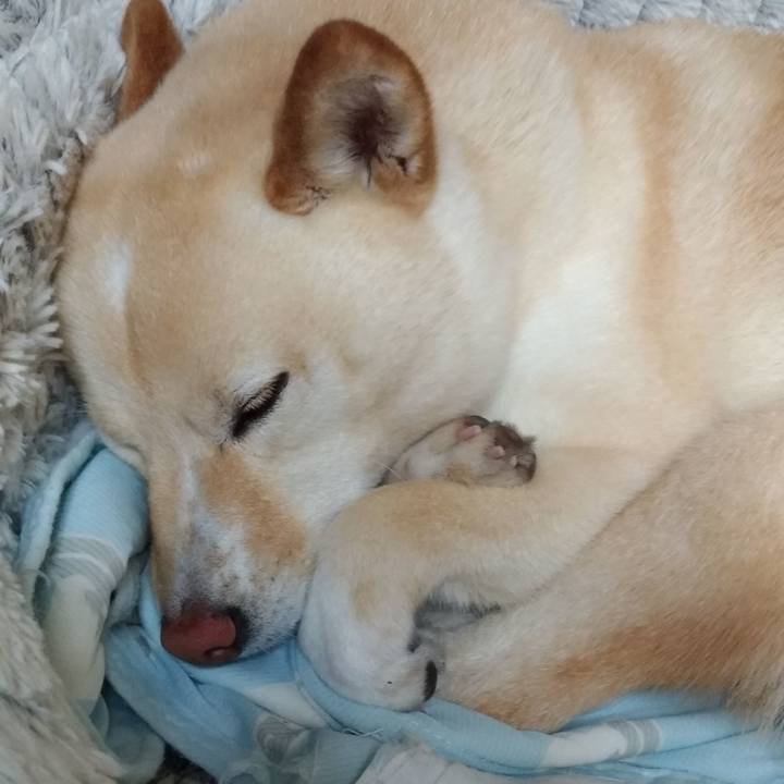 09773323 cdbf 4767 943c c689dd757831 1588505460340