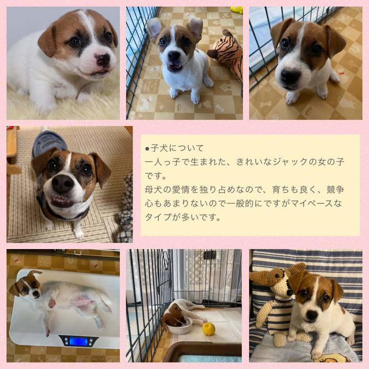 09773422 820b 4432 b49b 220ff0d5727a 1758022372061