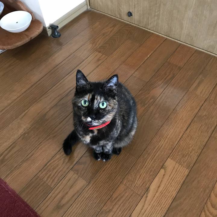 0977da31 64a6 4b74 8d27 6ebc89021670 1523319030128