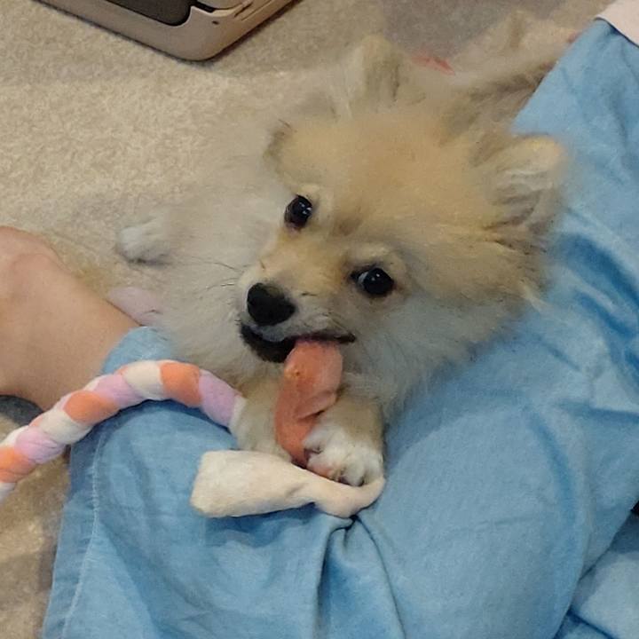 0977e44b f816 4107 9415 eb7dcced212d 1725925572111