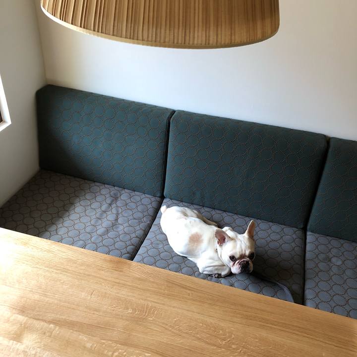 0977feb1 b6c4 407c addf 80fa5fa2e8db 1585019120183