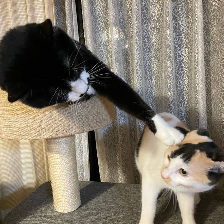 09780438 9f69 4210 8037 49023824551d 1670159683199