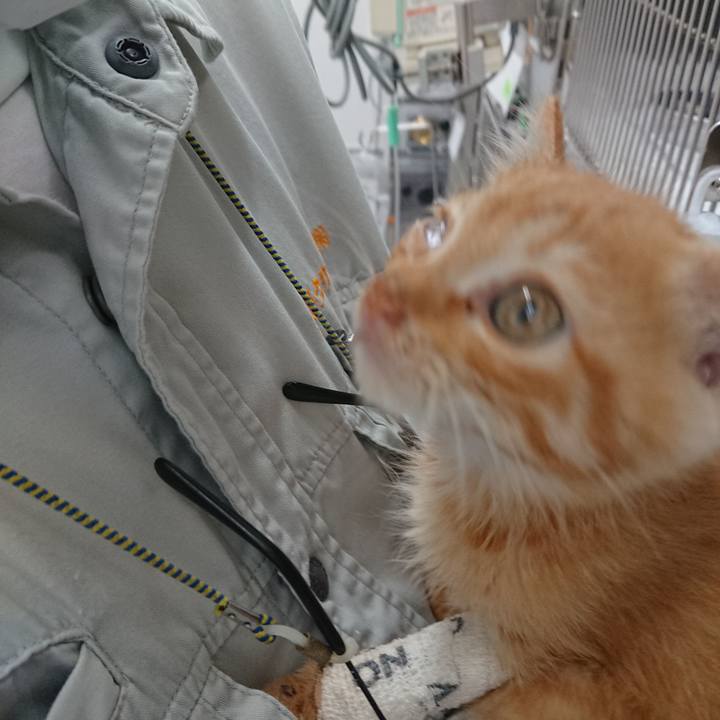 0978055d 6eb2 4acd a7b3 9361c6bdc511 1627639244808