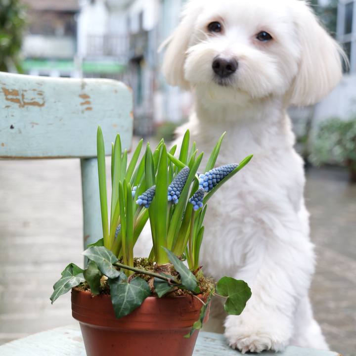 097828e8 4d86 4941 9d87 764c8b4b5624 1770864285541