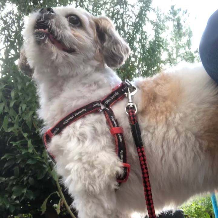 09782985 0ecc 48fd a456 cdb5a09d416b 1596328479137