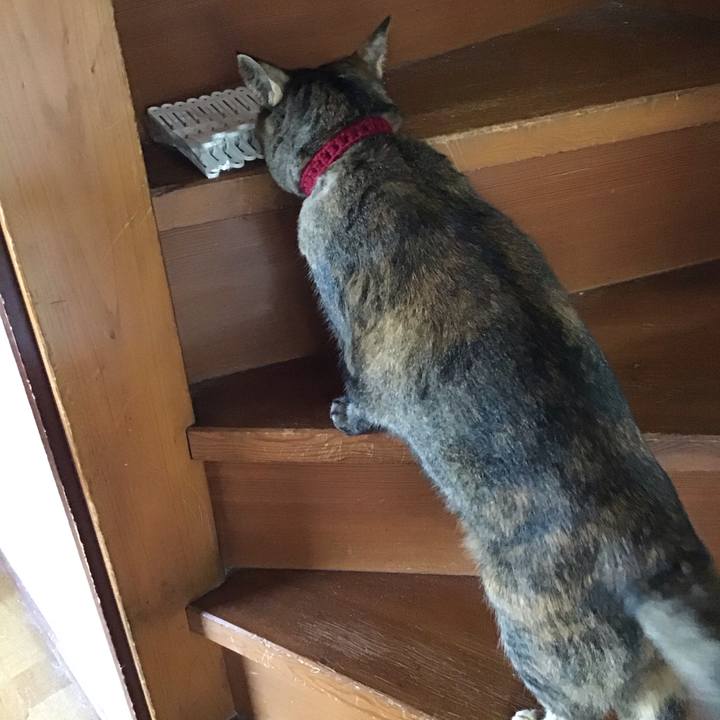 097861e4 612c 482c a145 92db3d83347a 1728880692048