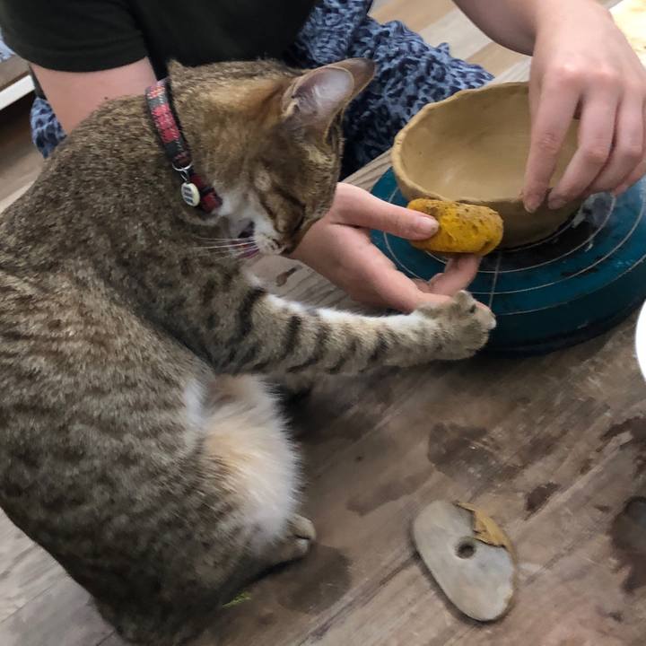 097877a1 1e98 4b3a 9c8a 99f44ee8fb1b 1654920352343