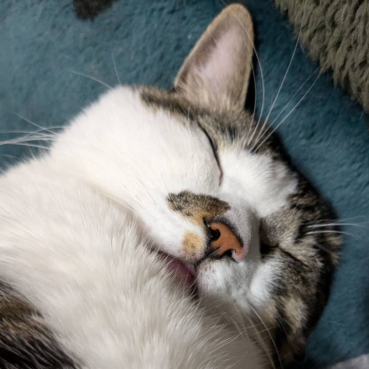 09789579 17f2 4b8d ab61 de9a5fc9d1ef 1736393911268