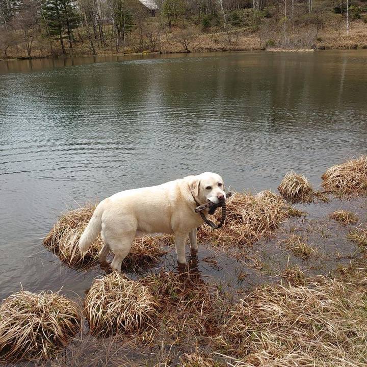 0978a877 cb52 4da2 90ba bb09133970fc 1746930835752