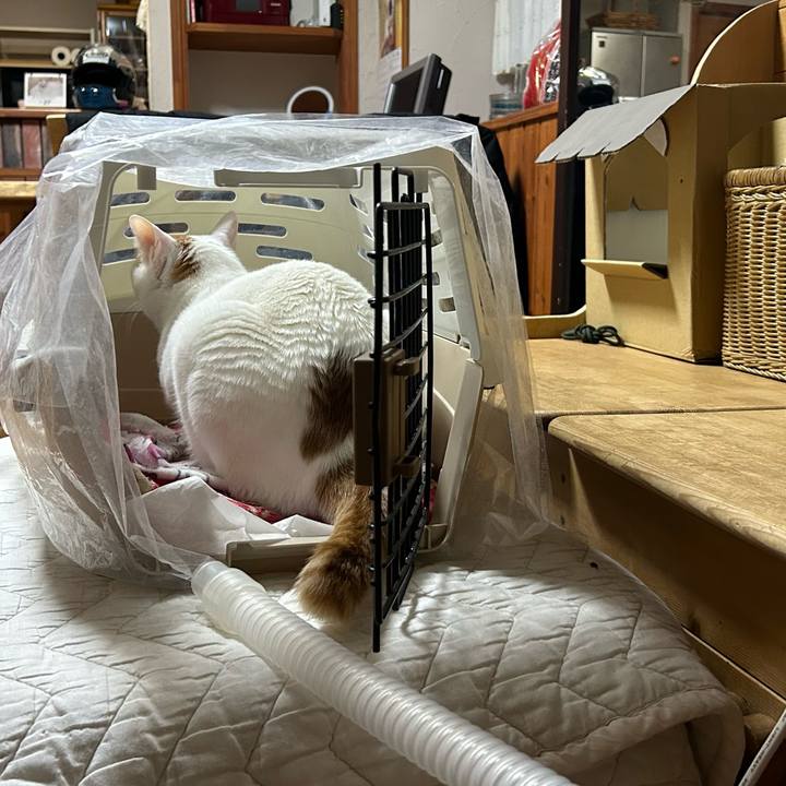 0978bcf3 a166 4d9a 9a95 6ccdc211b27f 1677412379863