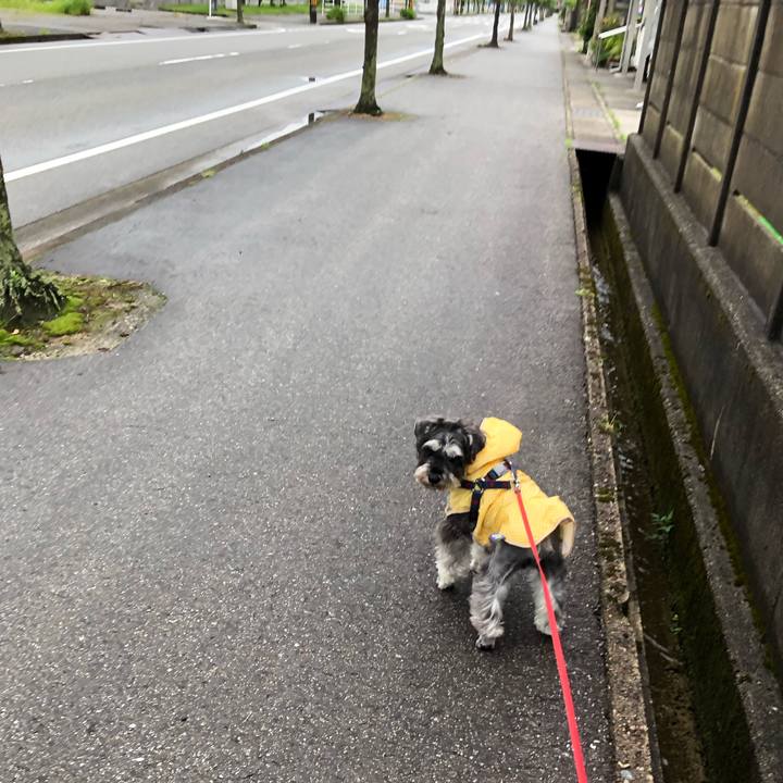 0978c4bb a8c1 4012 a2cf 88df54d7dbea 1625879506692